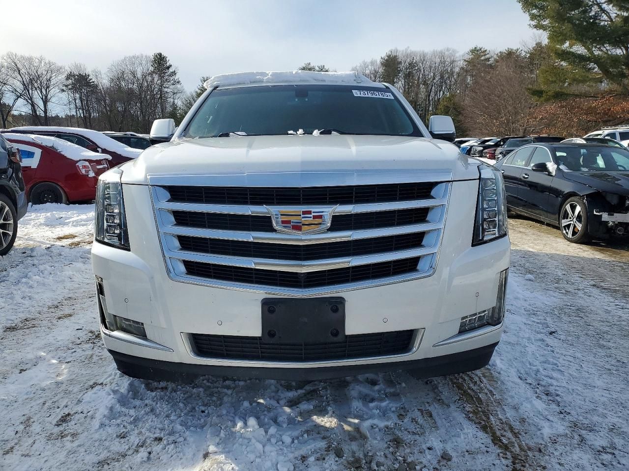 2017 Cadillac Escalade esv