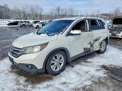 Salvage cars for sale from Copart Marlboro, NY: 2014 Honda Cr-v ex