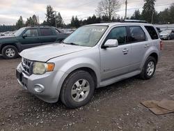 Ford salvage cars for sale: 2009 Ford Escape Hybrid