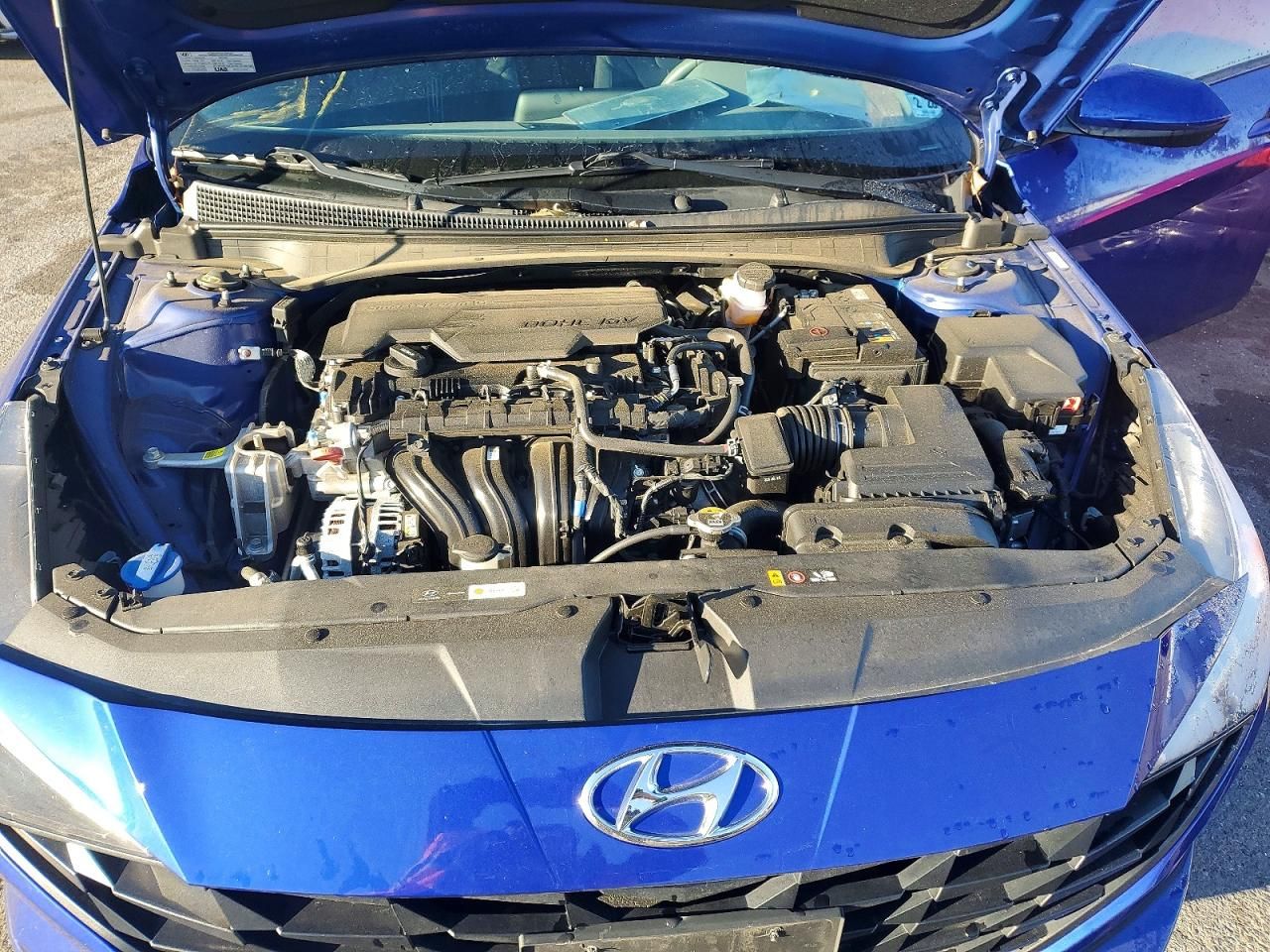 2023 Hyundai Elantra sel