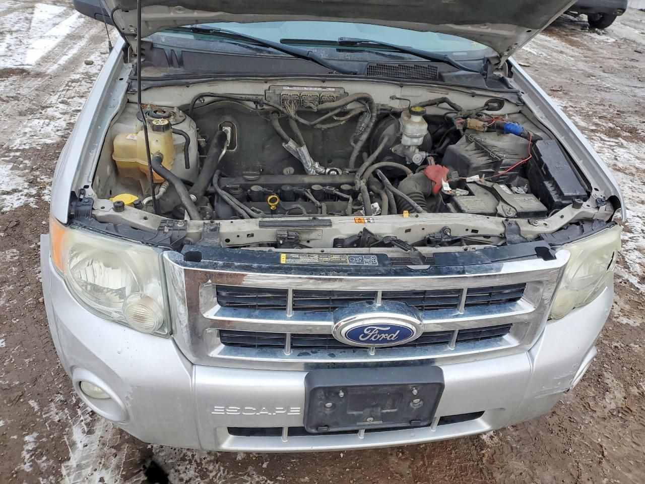 2010 Ford Escape xlt