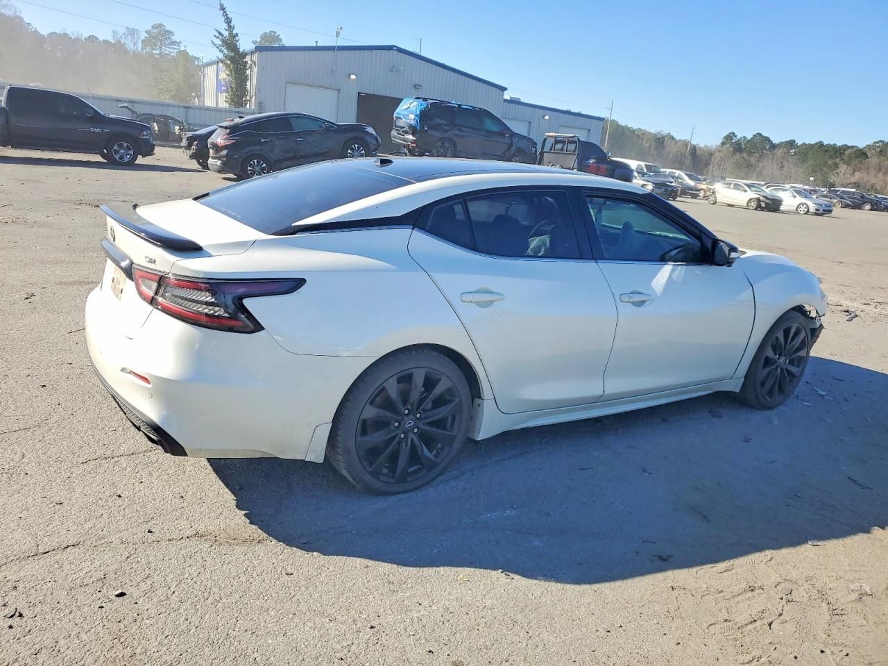 2023 Nissan Maxima sr