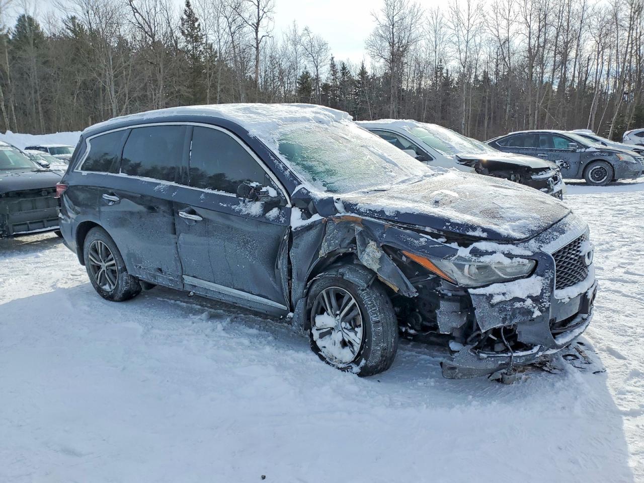 2019 Infinity Qx60 Luxe
