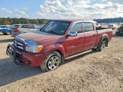Salvage trucks for sale at Harleyville, SC auction: 2005 Toyota Tundra Double Cab SR5