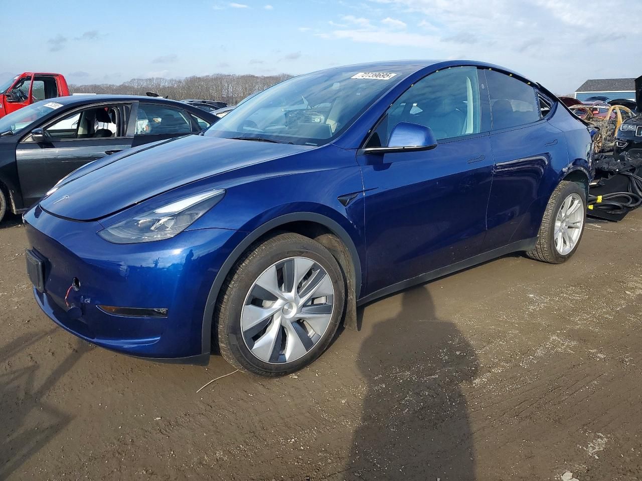 2024 Tesla Model y
