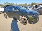 2024 Lexus Nx 250 Premium