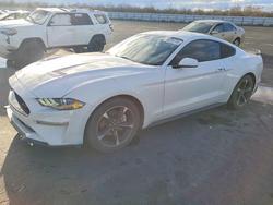 Ford salvage cars for sale: 2019 Ford Mustang
