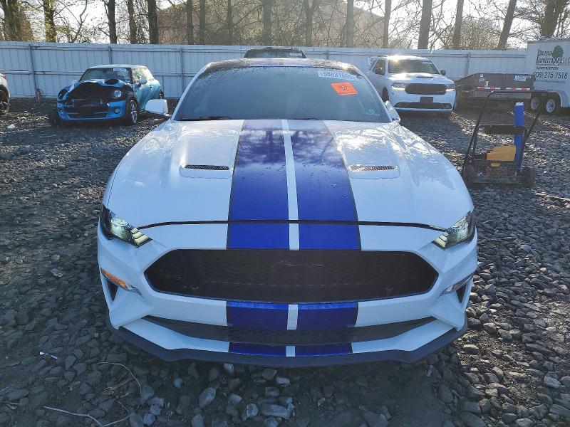 2019 Ford Mustang gt