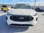 2023 Ford Escape st Line