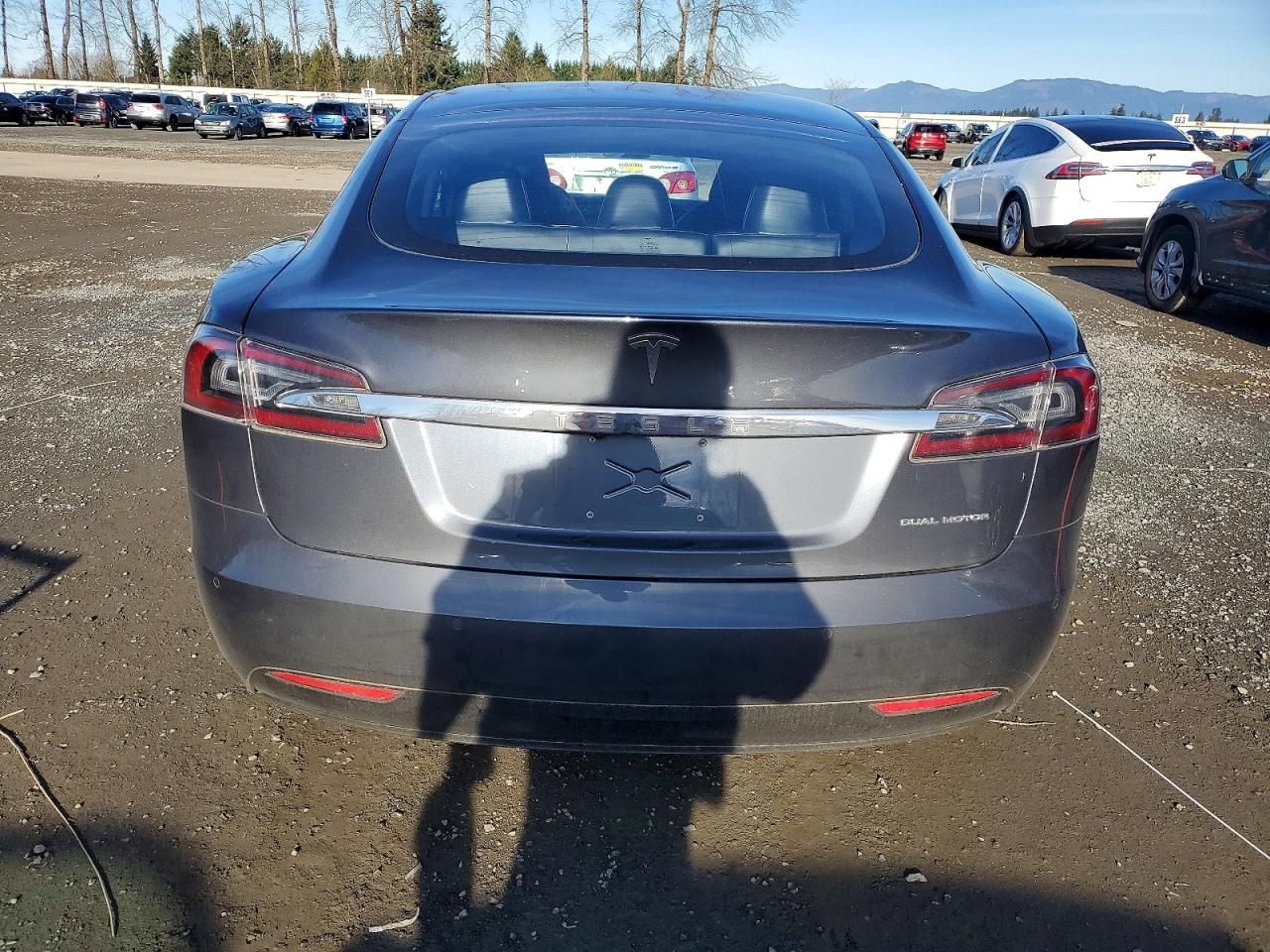 2019 Tesla Model s