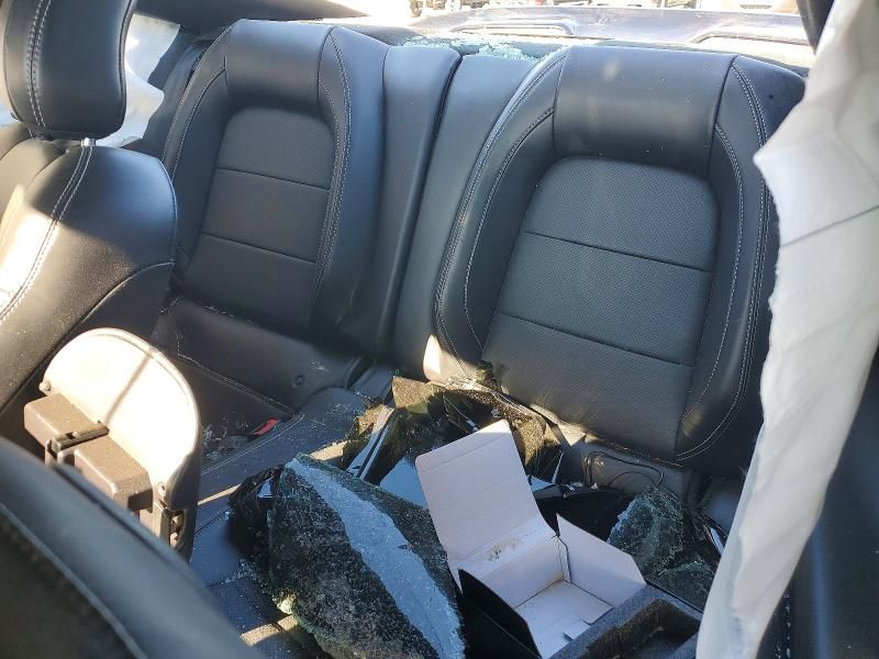 2019 Ford Mustang gt