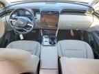 2024 Hyundai Tucson sel Convenience