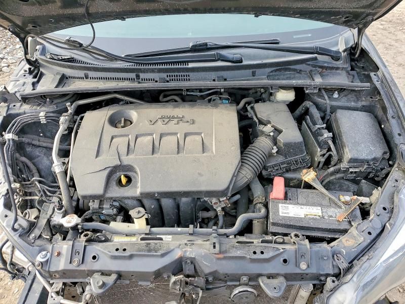 2019 Toyota Corolla l