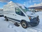 2019 Ford Transit 250 Delivery Van