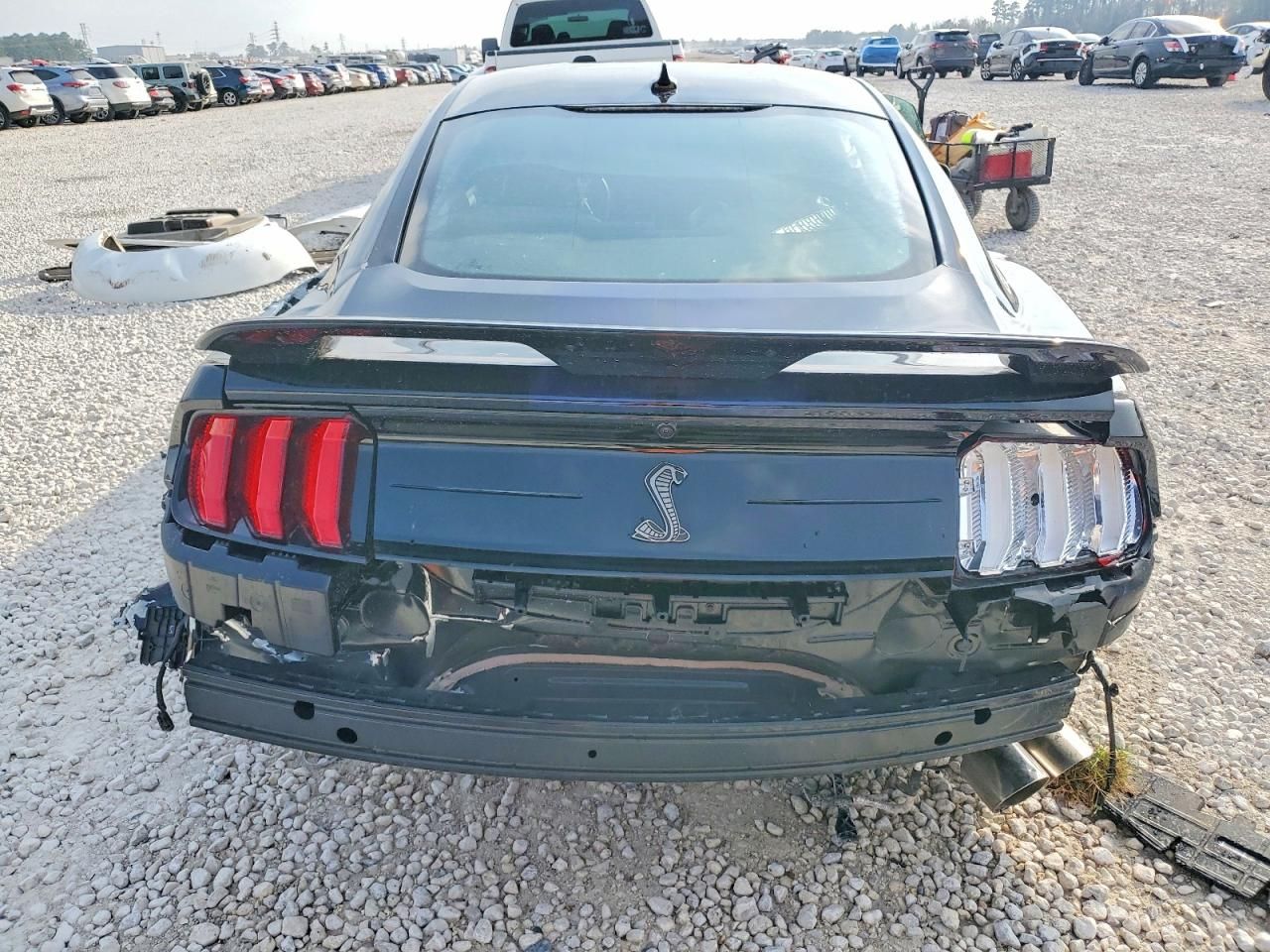 2021 Ford Mustang Shelby Gt500