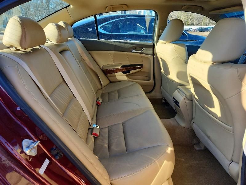 2010 Honda Accord exl