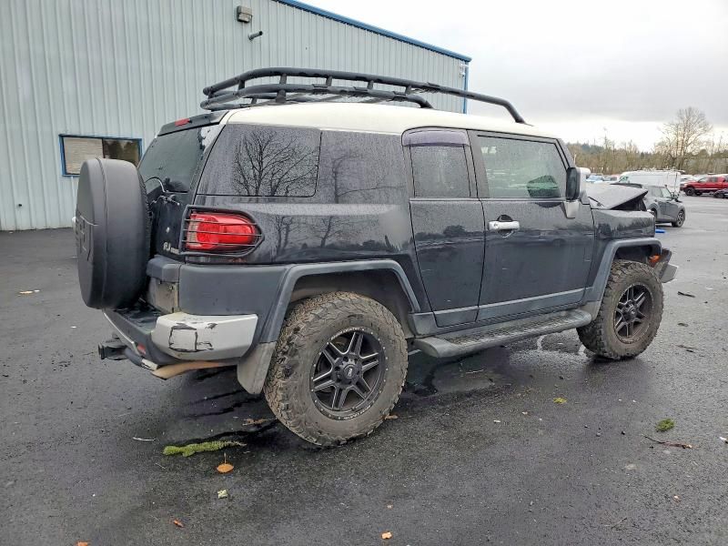 2008 Toyota Fj Cruiser