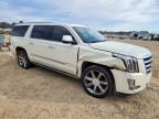 2015 Cadillac Escalade esv Premium