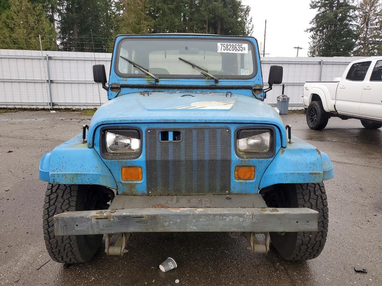 1990 Jeep Wrangler / yj Islander