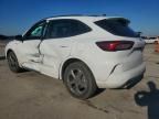 2023 Ford Escape st Line