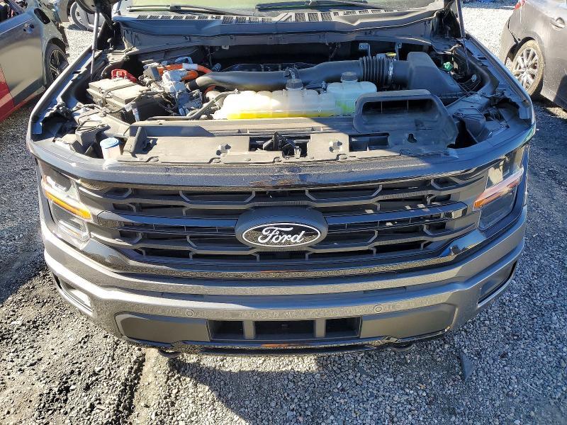 2025 Ford F150 xlt