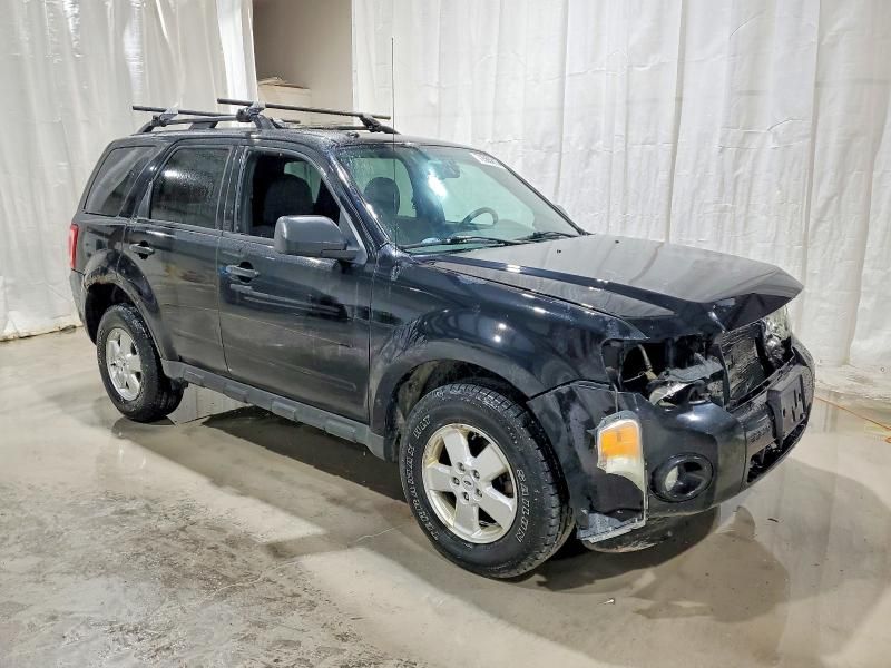 2010 Ford Escape xlt