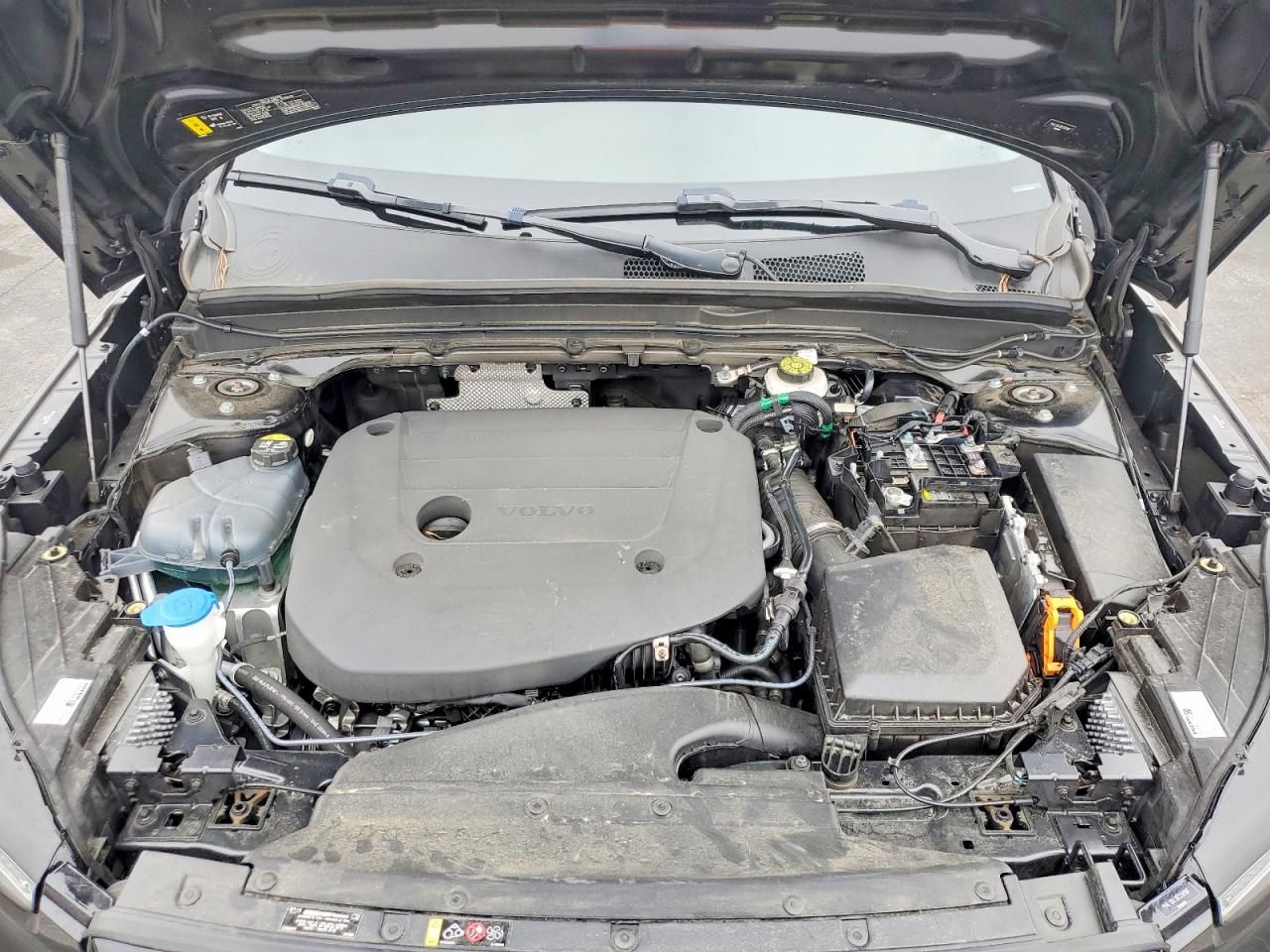 2024 Volvo Xc40 Plus