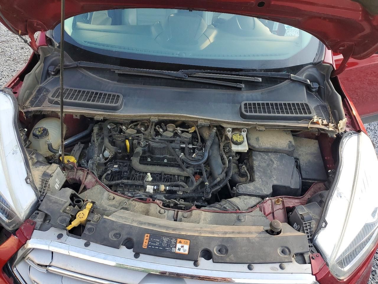 2019 Ford Escape sel