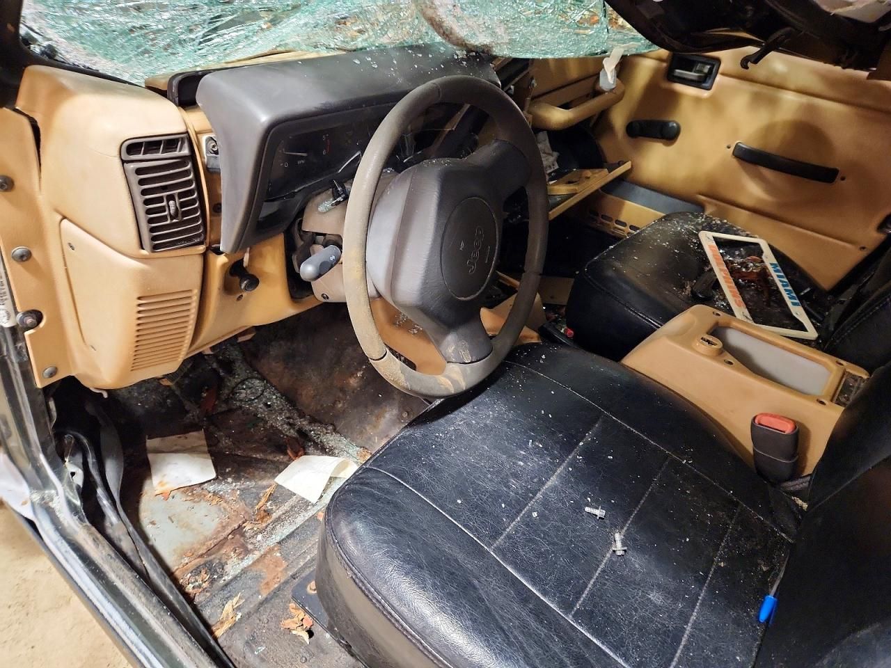 1998 Jeep Wrangler / tj Sahara