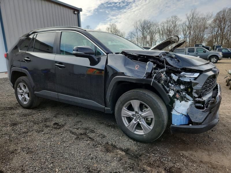 2025 Toyota Rav4 xle