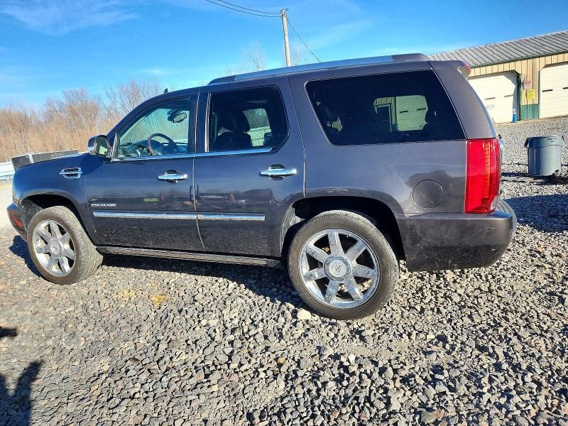 2010 Cadillac Escalade Premium