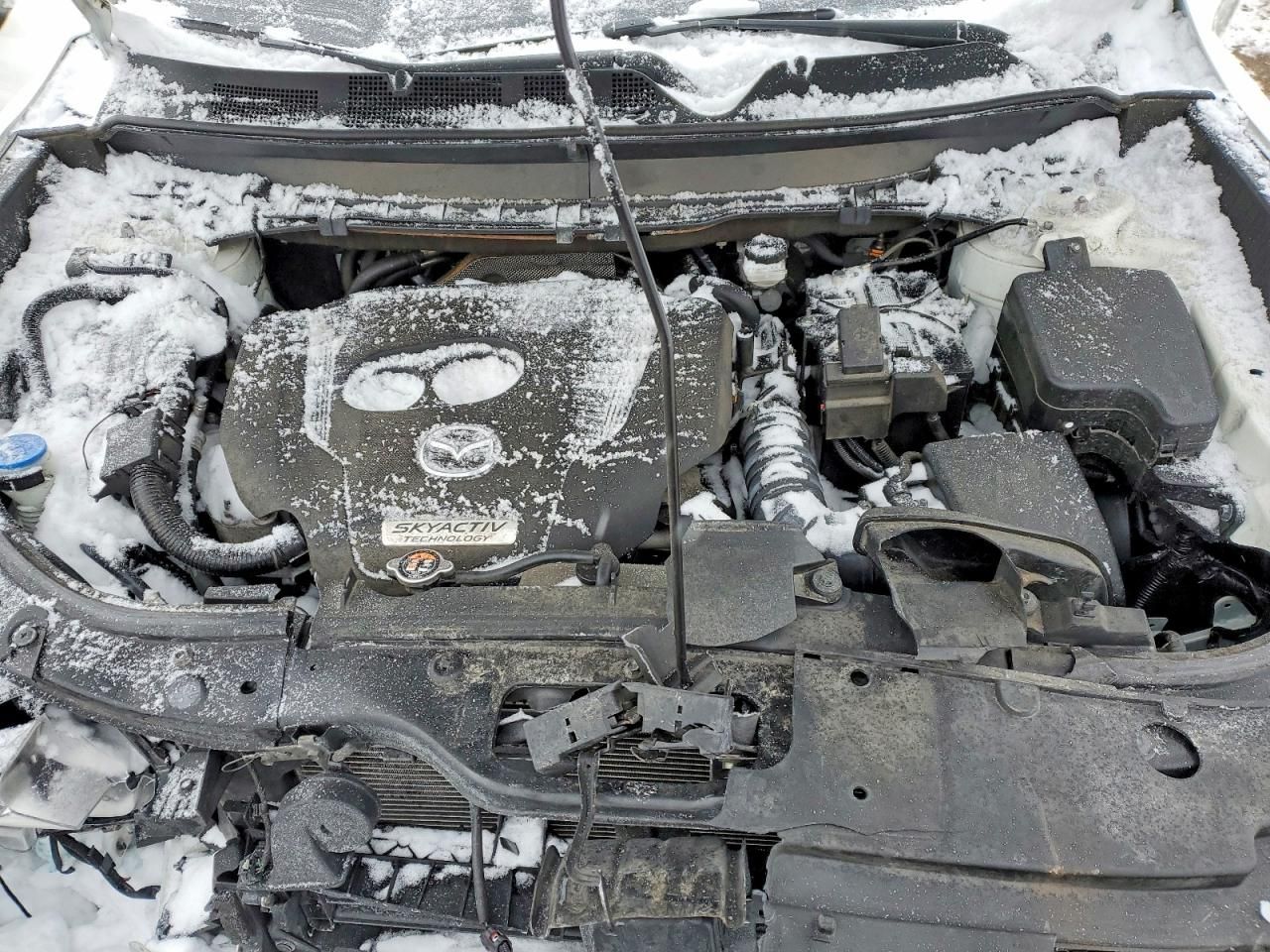 2019 Mazda Cx-9 Touring