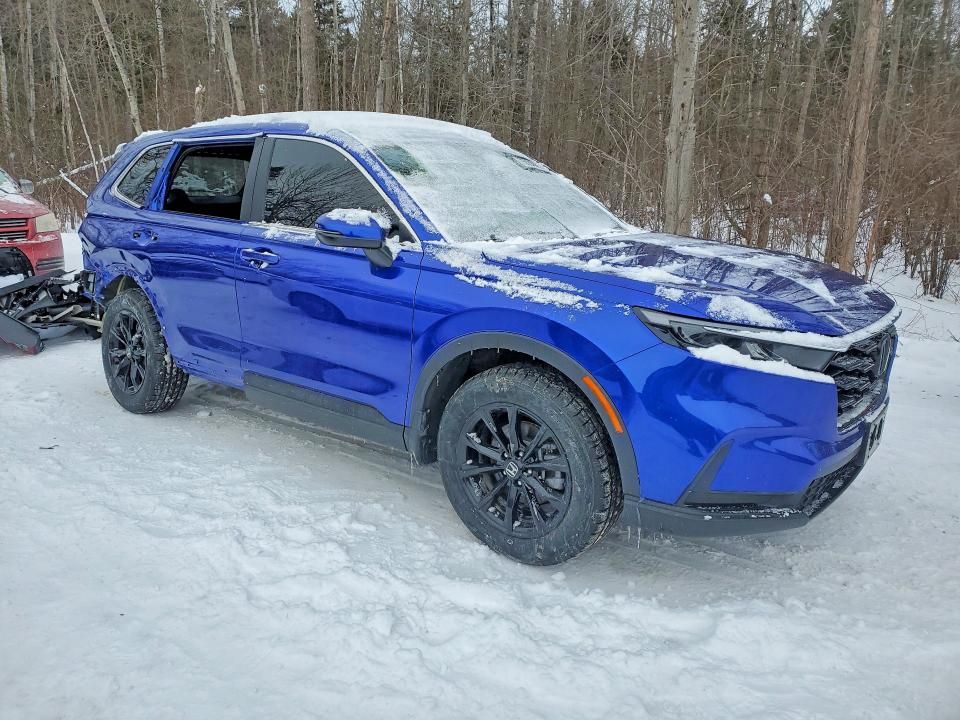 2025 Honda Cr-v Sport