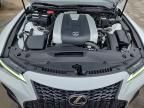 2024 Lexus IS