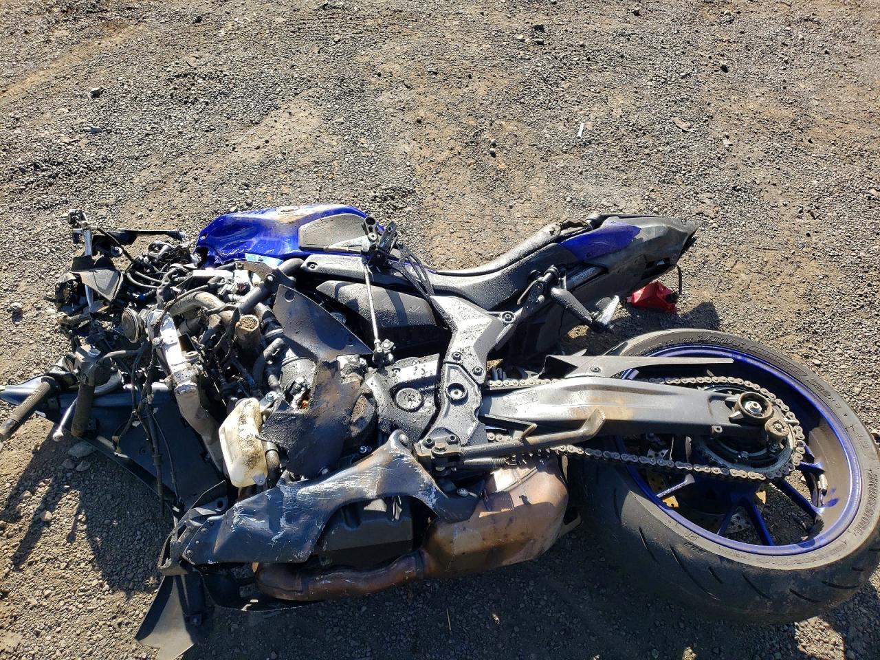 2024 Yama YZFR7