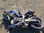 2024 Yama YZFR7