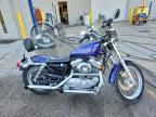 1999 Harley-Davidson XL883 Hugger