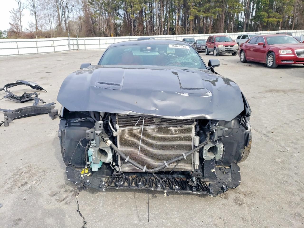 2019 Ford Mustang gt