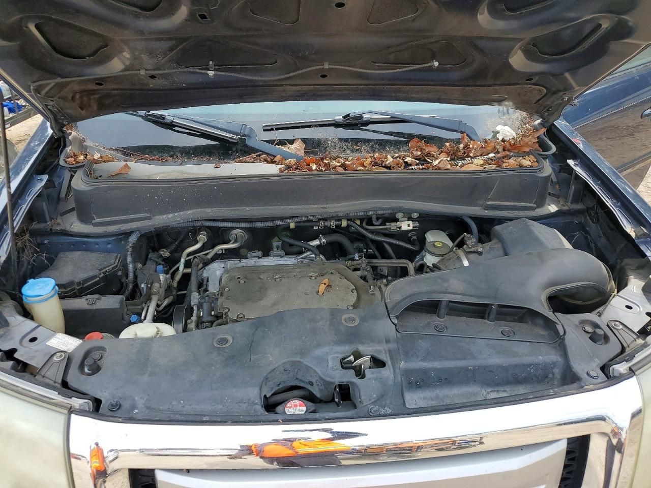 2011 Honda Pilot exl