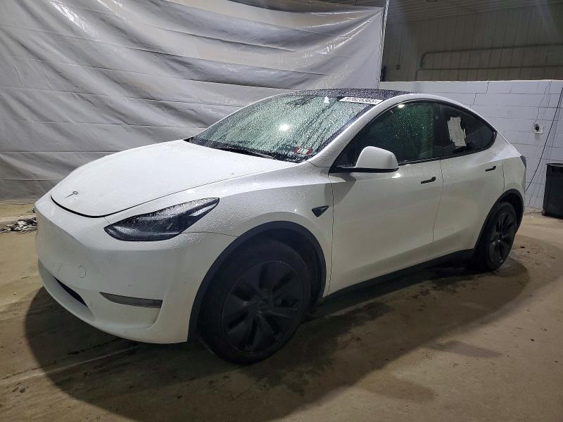 2025 Tesla Model y