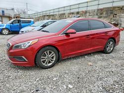2016 Hyundai Sonata se for sale in Walton, KY