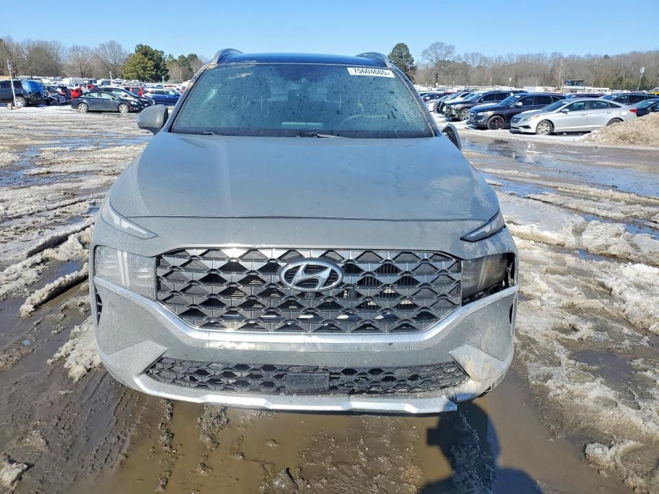 2023 Hyundai Santa fe Calligraphy
