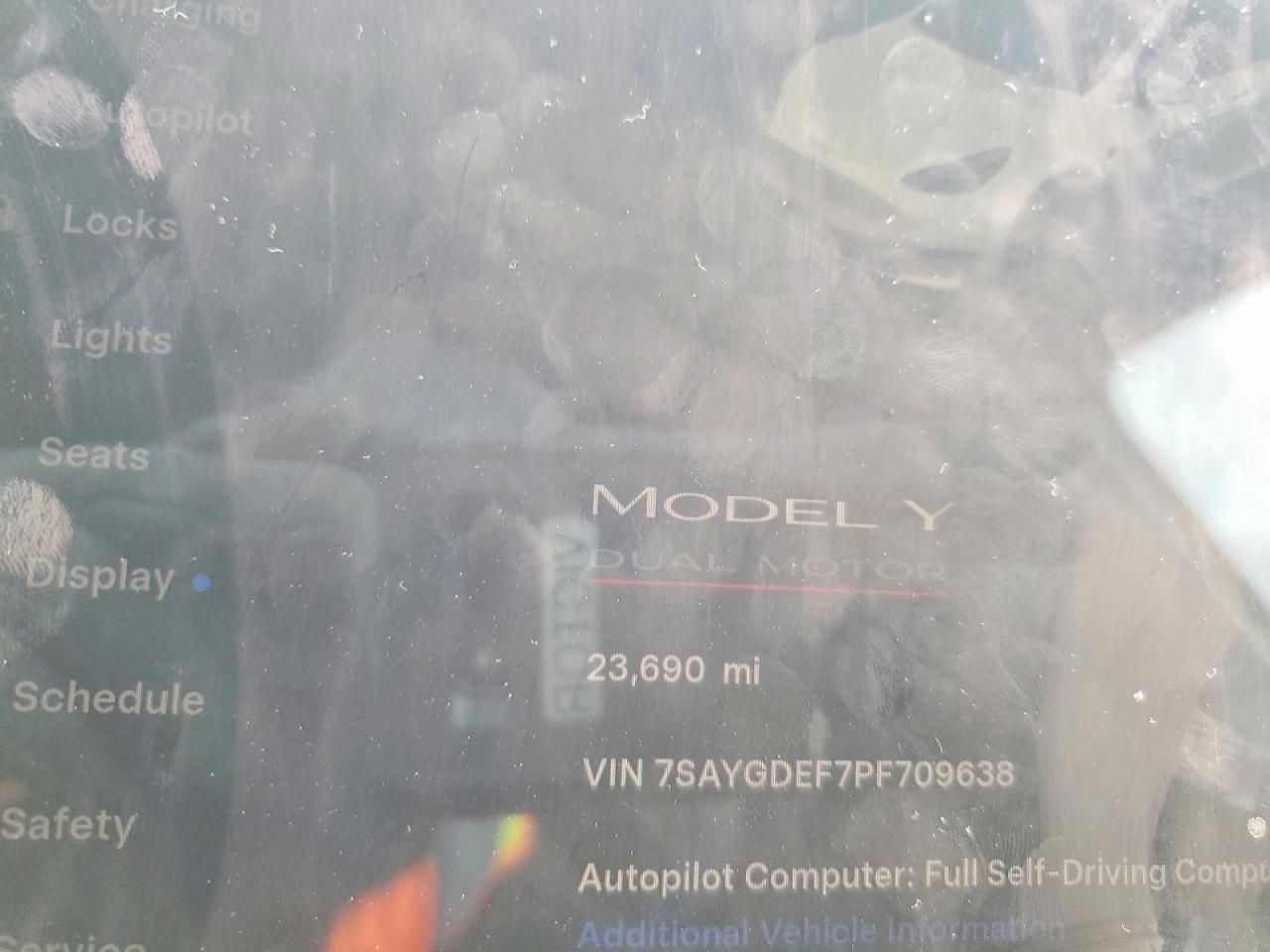 2023 Tesla Model y