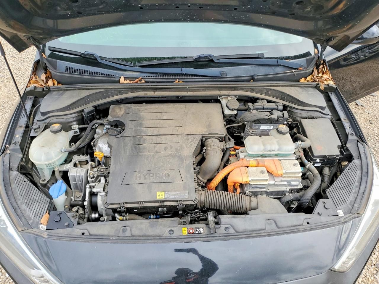 2018 Hyundai Ioniq Blue