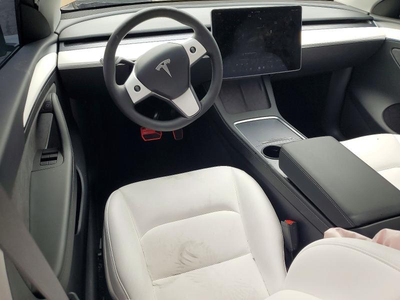 2025 Tesla Model y