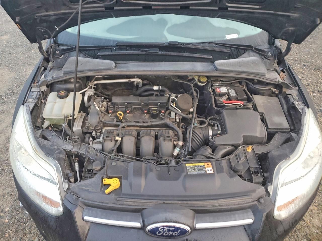 2013 Ford Focus se