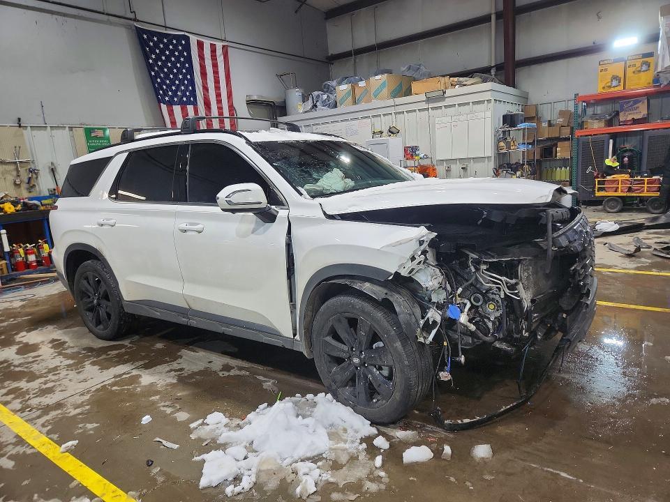 2025 Hyundai Palisade xrt