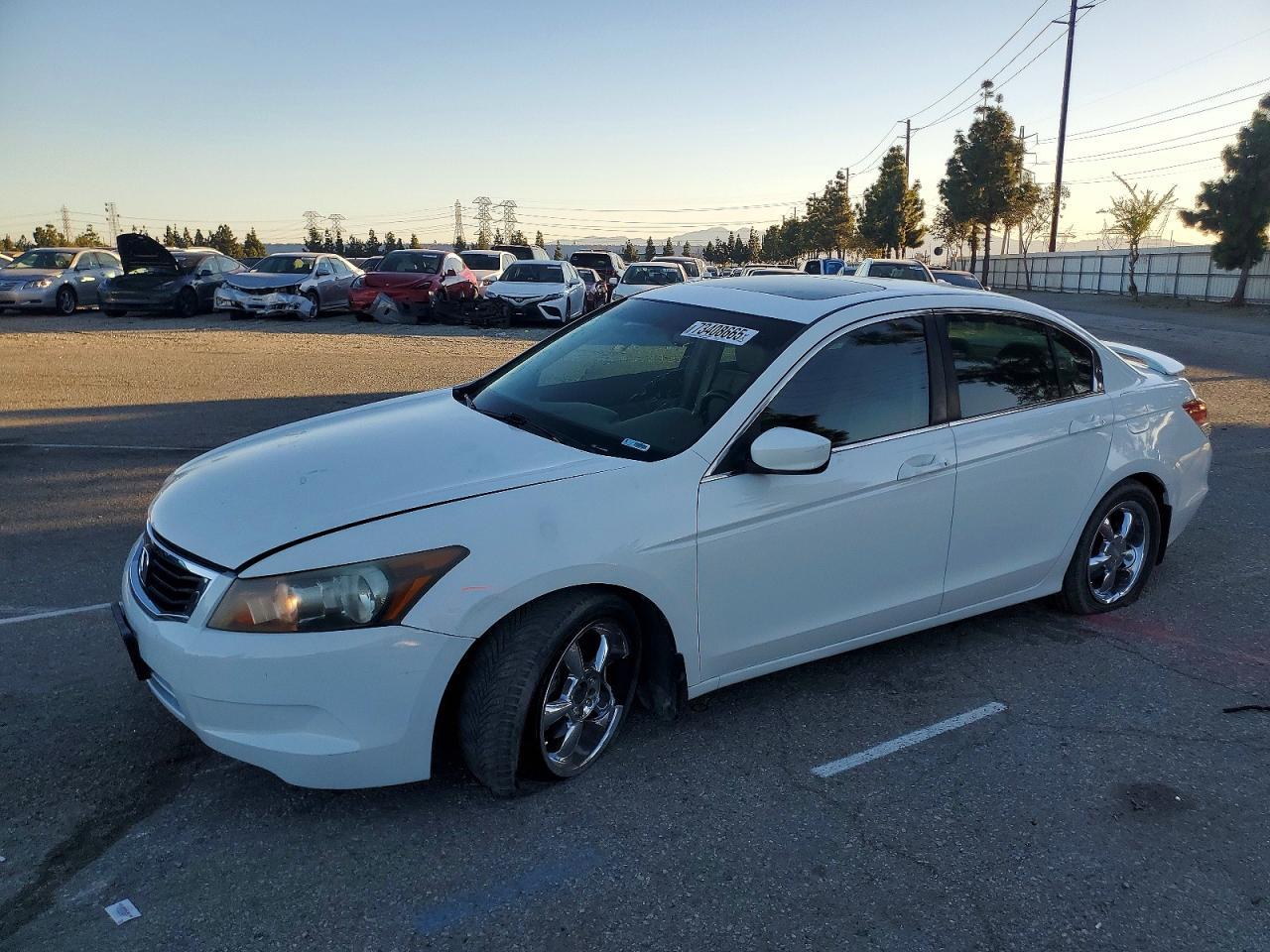 2009 Honda Accord exl