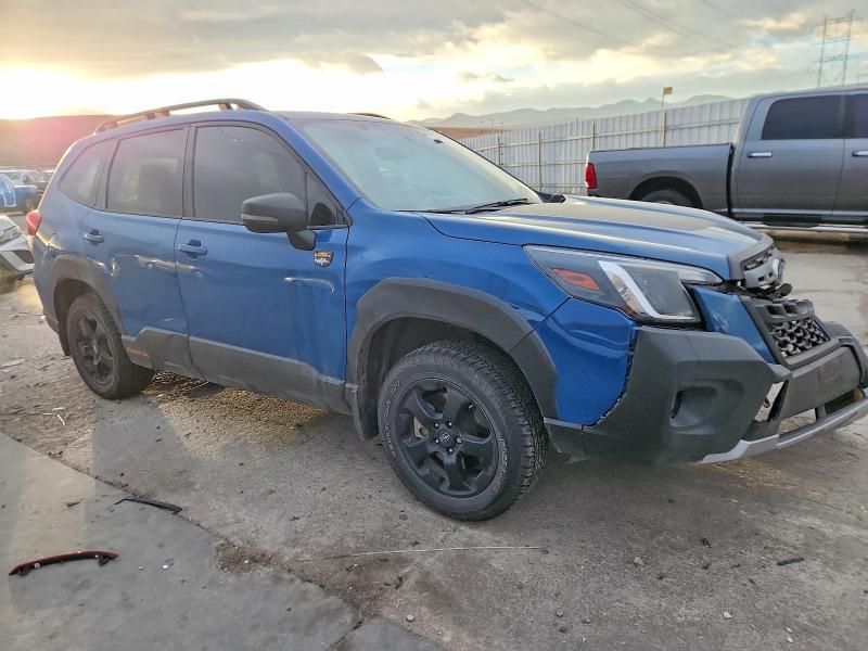 2024 Subaru Forester Wilderness