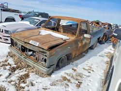 Vehiculos salvage en venta de Copart Amarillo, TX: 1983 Chev C10